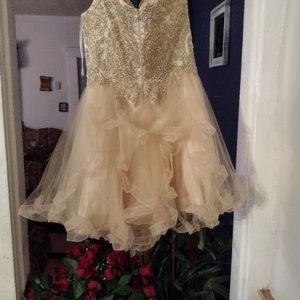 A beautiful dress for the prom or some elegant affair